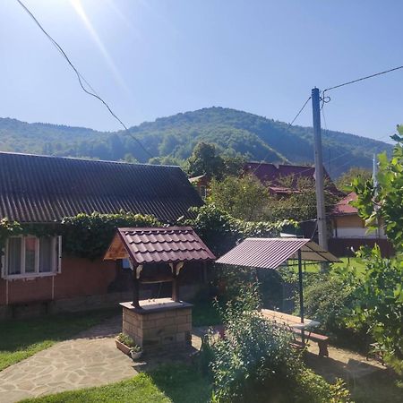 Hotel Borgaza Jaremče Exteriér fotografie