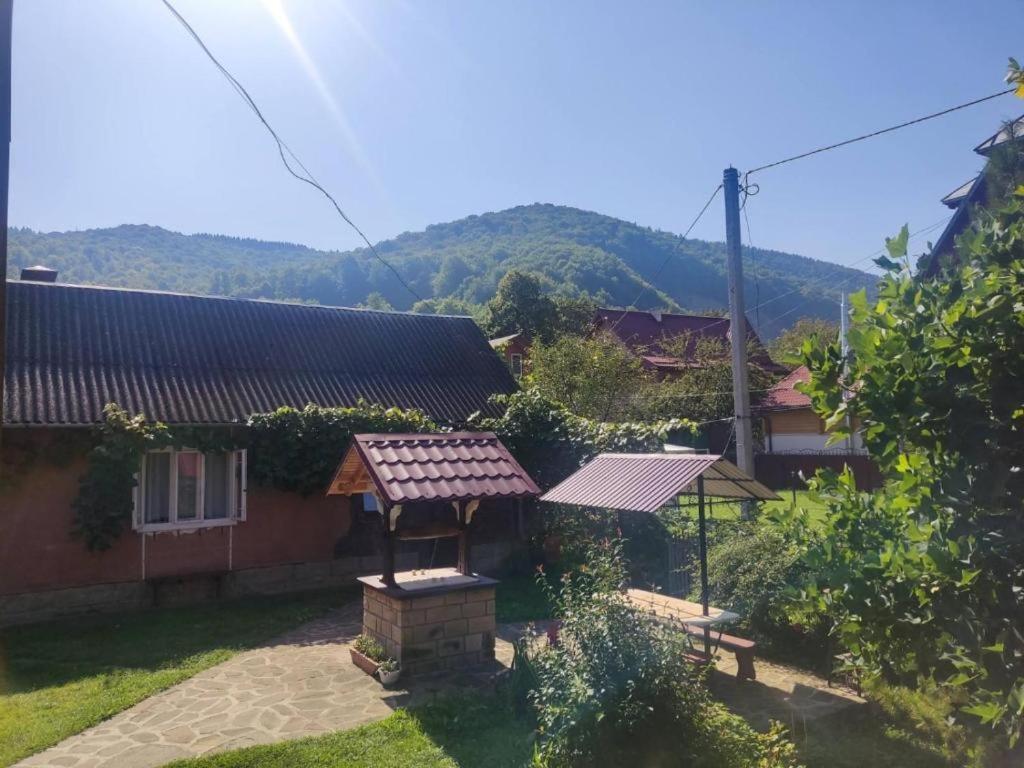 Hotel Borgaza Jaremče Exteriér fotografie